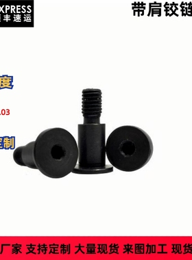 MIK21 MIK11 MIK02 MIK01-D4 D6 D8 D10 D超薄头内六角带肩铰链销