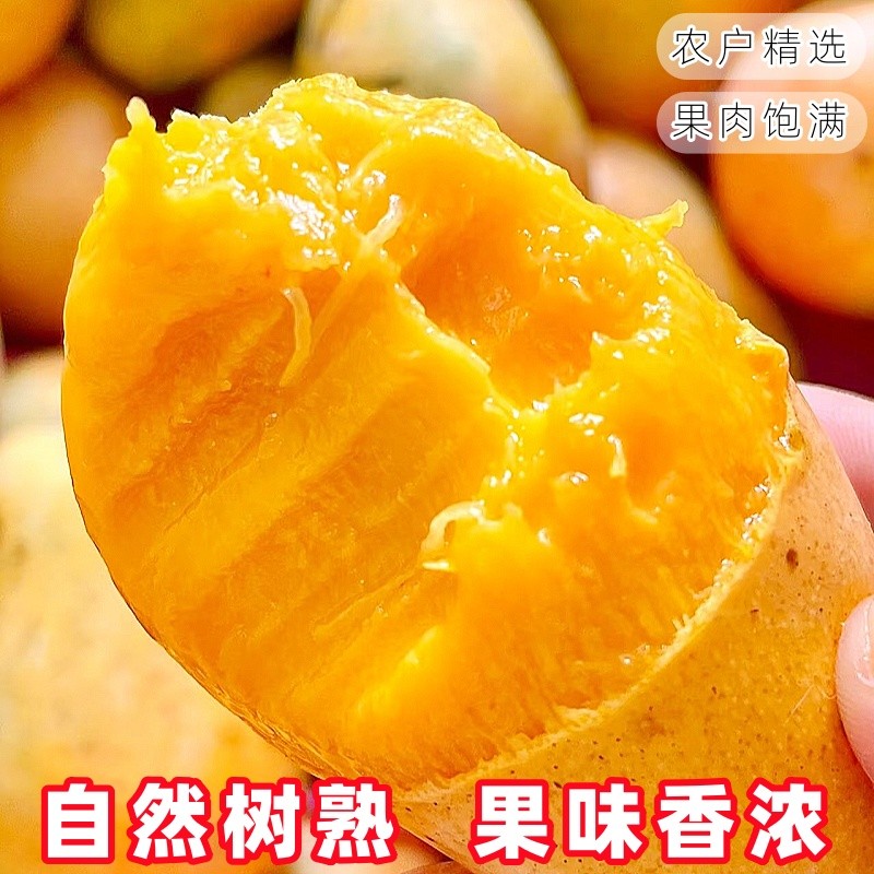 官方热销！直发小台芒