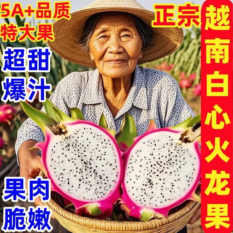 正宗白心火龙果10斤新鲜超甜白肉火龙果当季孕妇热带水果整箱包邮