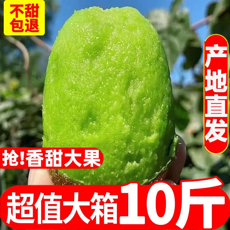 【官方力荐】徐香绿心猕猴桃