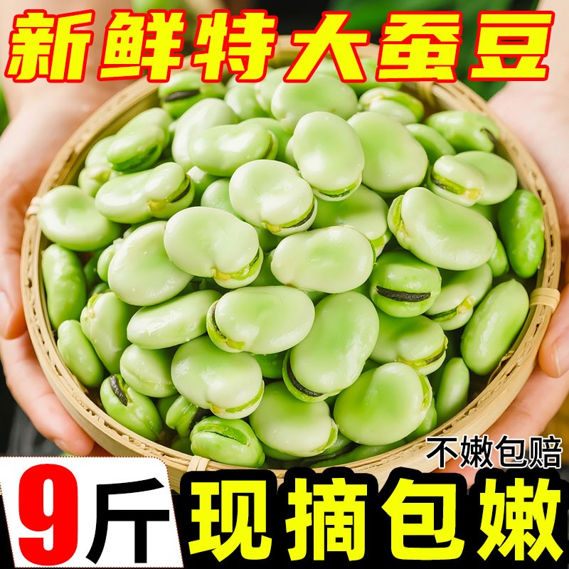 云南蚕豆9斤新鲜现摘蔬菜带壳胡豆青豆荚罗汉豆兰花豆豌豆荷兰豆