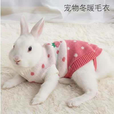 侏儒垂耳兔子专用保暖穿的衣服毛衣秋冬天加厚针织给宠物过冬神器