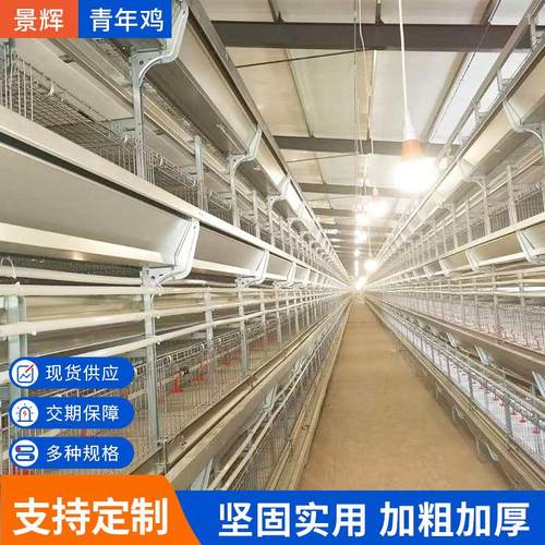 现货青年鸡加粗加密养殖阶梯式笼养殖蛋鸡钢丝自动巩固