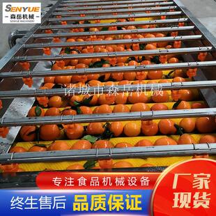 果冻橙洗果机水果种植基地使用水果清洗选果机茂谷柑清洗机去农残