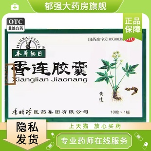 本草纲目 香连胶囊 10粒*1板/盒