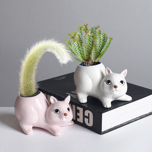 跨境创意多肉仙人掌花盆松鼠多肉花盆个性桌面园艺肉肉盆栽花器