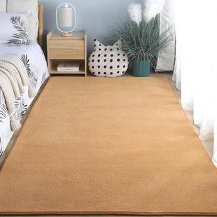 卧室地毯床边毯高级感主卧床前毯纯色整铺房间毛绒地垫客厅茶几毯