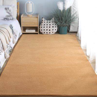 卧室地毯床边毯高级感主卧床前毯纯色整铺房间毛绒地垫客厅茶几毯