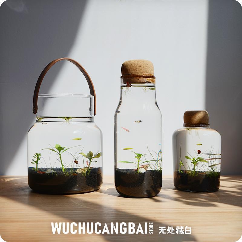.生态瓶微景观鱼造景DIY小鱼缸水族办公桌面客厅创意观赏免换水