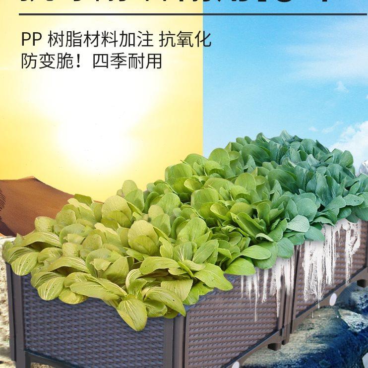 阳台种菜神器种植箱种菜盆长方形大号花盆2021新款蔬菜专用箱塑料