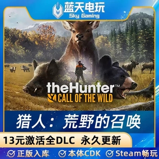 Steam正版国区CDK/猎人荒野的召唤DLC全套DLC解锁/本体激活码CDK