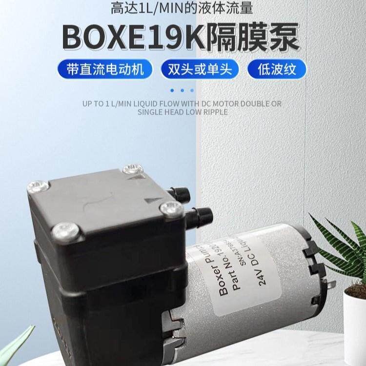 BOXER19K隔膜泵，DC直流马达，流量：300mL-1000mL/min，
