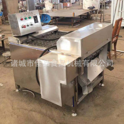 不锈钢新鲜带鱼分段机大型秋刀鱼分段切块机