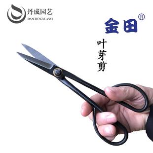 盆景工具 叶芽剪 合金钢盆栽园艺长剪刀 剪芽树芽剪 专业修剪叶芽