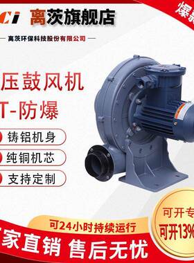 FT（CT4）透浦式中压风机铝合金防爆型风机吸尘防爆鼓风机