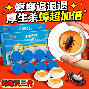 厚生蟑螂药杀蟑饵剂杀蟑贴家用厨房一锅端大小蟑螂通杀有效饵剂