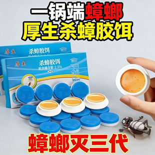 厚生蟑螂药杀蟑饵剂杀蟑贴家用厨房一锅端大小蟑螂通杀有效饵剂