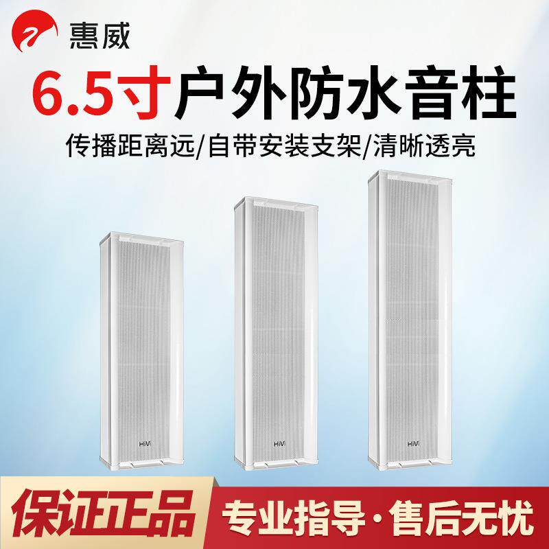 Hivi/惠威C8062C8063C8064音柱室外壁挂音箱操场定压音响