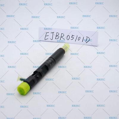 ERIKCEJBR05101D适用于德尔福喷油器EJBR05101D