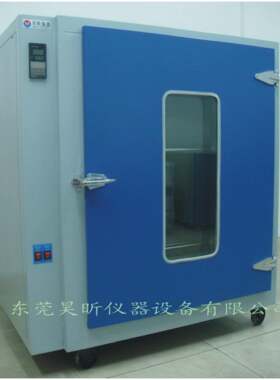 精品热销数显高温箱数显鼓风高温箱电热鼓风干燥箱广东高温箱