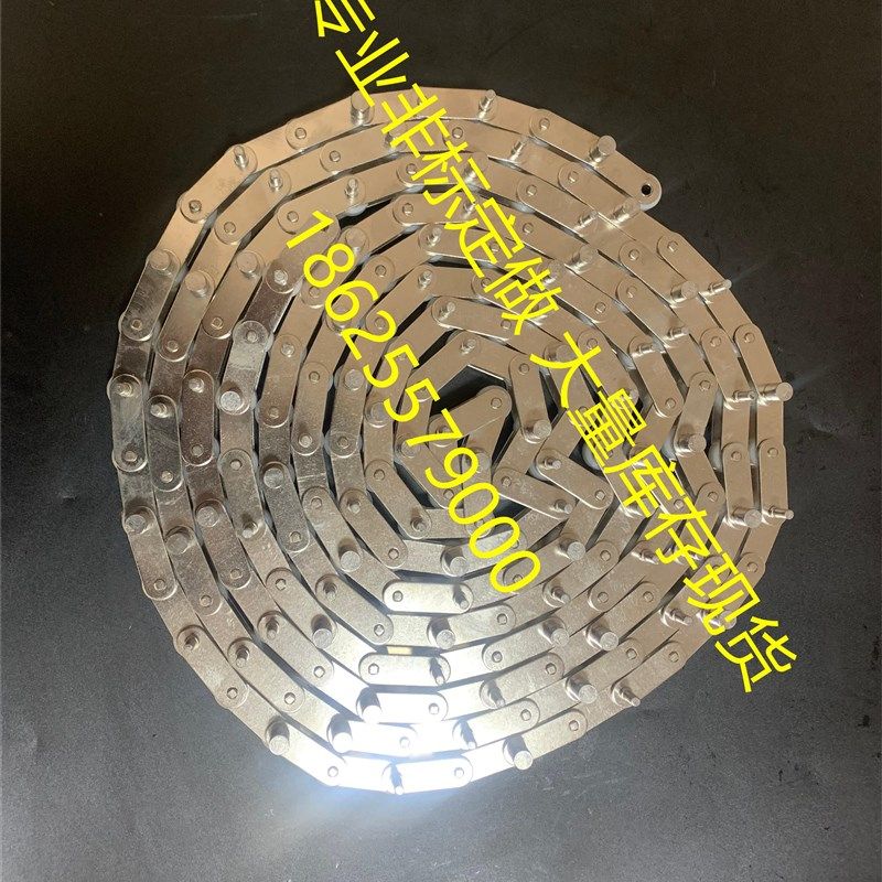 Z型提升机C2052型号31.75节距不锈钢链条