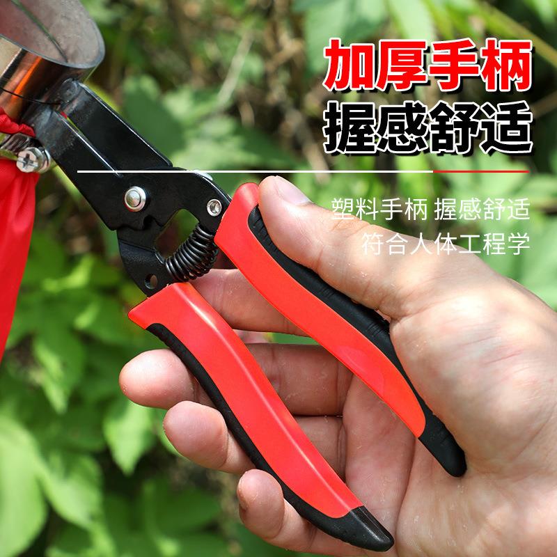 新款摘花椒神器采摘酸枣枇杷樱桃桑葚摘果剪采摘器花椒采摘修枝刀