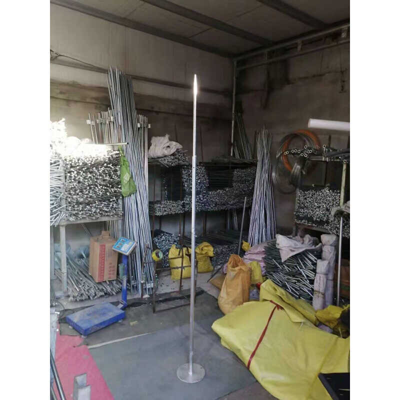 厂销镀锌家用防雷接地线针楼顶户外工程绝缘子避雷装置1米普通品