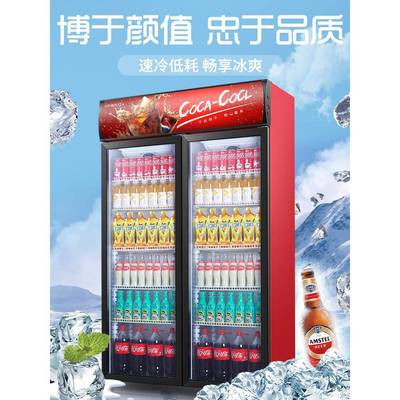 冷藏展示柜商用饮料保鲜柜冰箱立式单门双开门超市啤酒冰柜