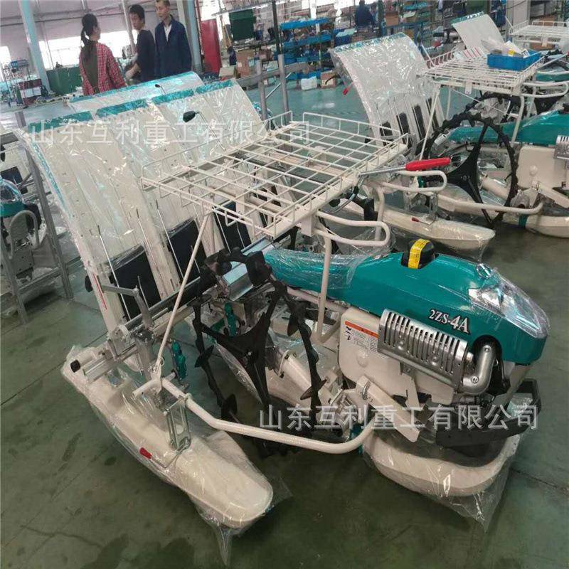 汽油款高低速可调乘坐式6行水稻插秧机农用小型水稻种植机栽苗机
