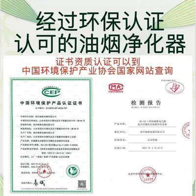8000风量油烟净化器饭店厨房商用小型餐饮烧烤静电排烟一体机