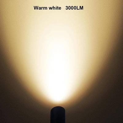 户景外30带光感观光灯庭院草坪照树旗杆灯自动聚开关W花园TZX-GY3