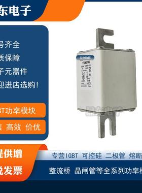 170M5008170M5009170M5010170M5011170M5012170M5013熔断器