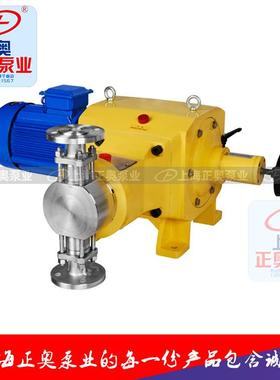 正奥泵业DZ-D型柱塞式计量泵