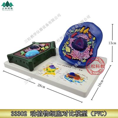 动植物细胞对比模型动物细胞模型植物细胞模型PVC制教学仪器