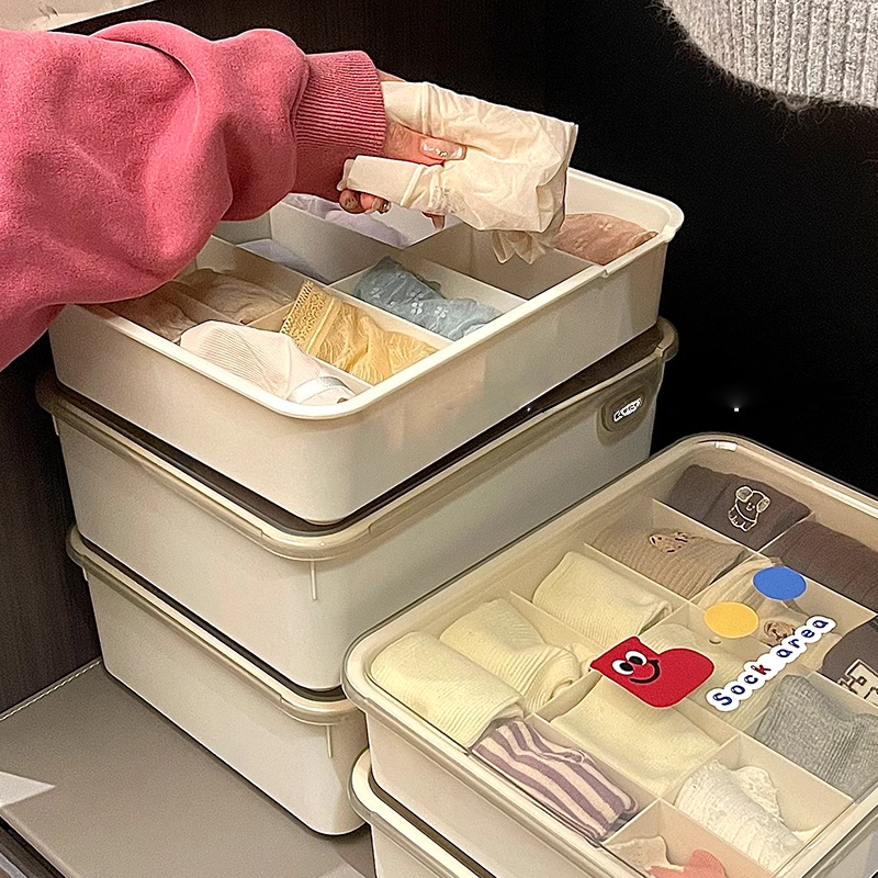 带盖整理盒分隔筐贴身衣物专用盒