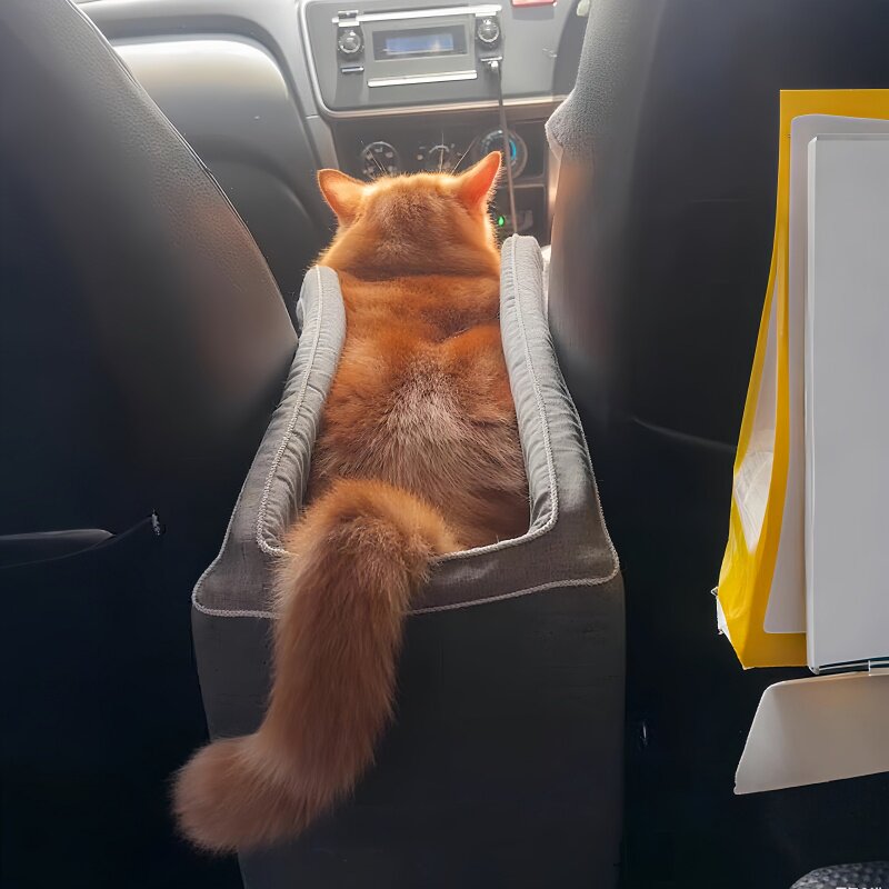 宠物安全座椅|猫咪出行宠物车载垫中控窝小型犬外出前后排坐车垫,宠物/宠物食品及用品,猫狗车载垫,淘宝优惠券,粉丝福利购,淘宝优惠卷