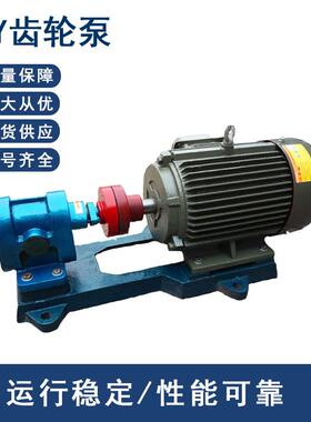 2CY系列齿轮油泵2CY-7.52.5润滑油泵燃油泵机油泵柴油泵增压泵