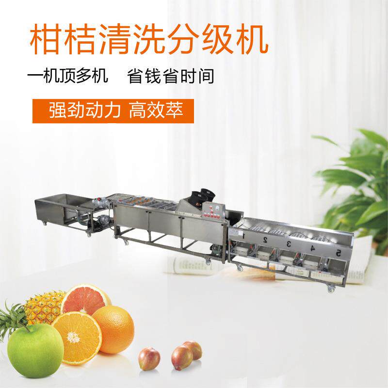 气泡清洗机 水果洗果分级机 果蔬洗果机 水洗滚筒分选机