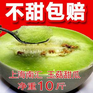 上海南汇玉菇甜瓜青皮绿肉香瓜绿宝冰激凌小甜瓜玉茹蜜瓜新鲜现摘