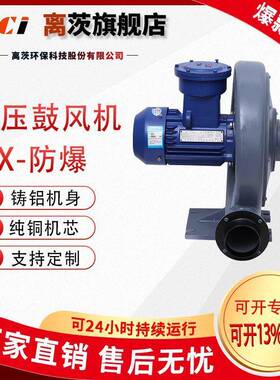 FX系列（CT4）防爆型中压鼓风机粉尘防爆鼓风机锅炉助燃