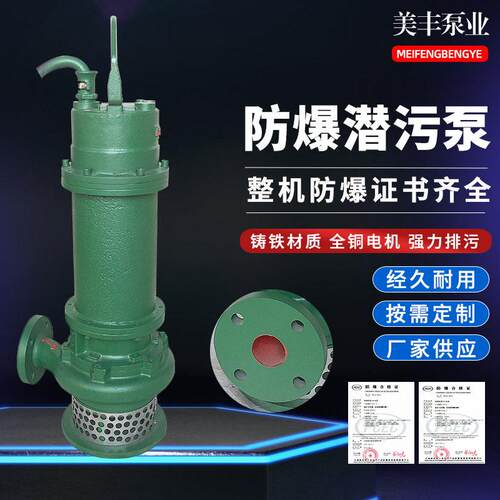 防爆潜水泵厂家潜污泵IICQQW系列5.5Kw铸铁防爆潜污泵