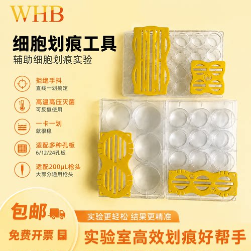 WHB细胞划痕免校准6/12/24孔板