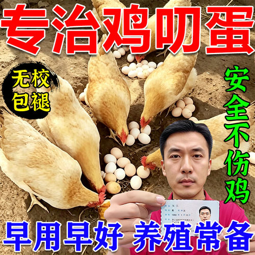 防止鸡啄蛋药神器专治吃鸡蛋啄羽毛琢肛补充维生素营养不良用饲料