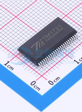 LCD驱动 TM1721(TA2003B) SSOP-48-300mil 原装正品 电子元器件配