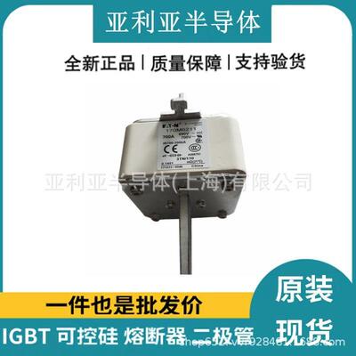 电子元器件170M6211170M6212170M6213电流保护陶瓷熔断器现货