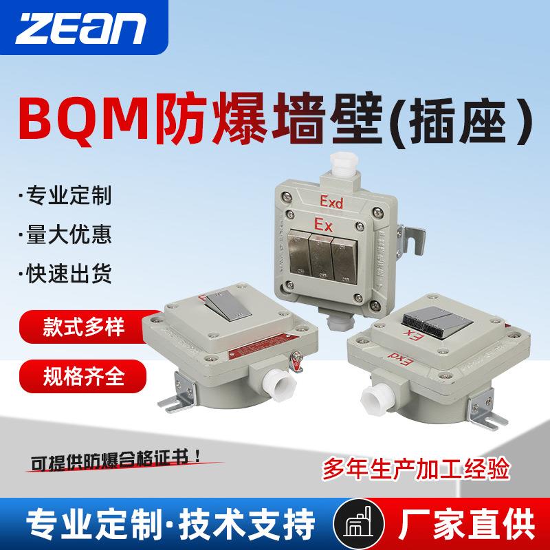 防爆照明开关明装防爆墙壁开关单开双开三开86型照明开关SW-10