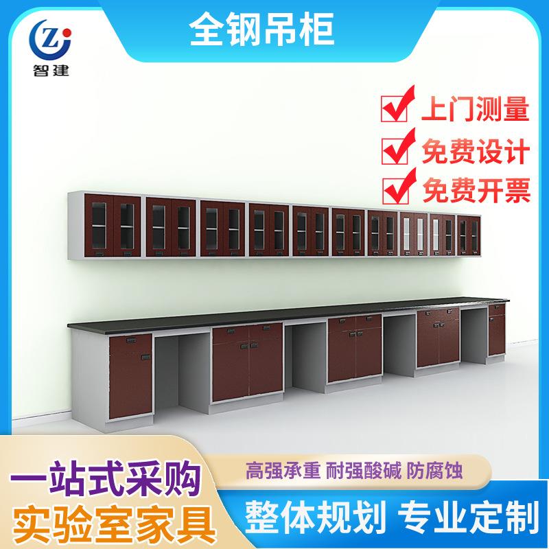 实验室吊柜全钢钢木木质玻璃吊柜试验室家具高承重墙壁柜带层板