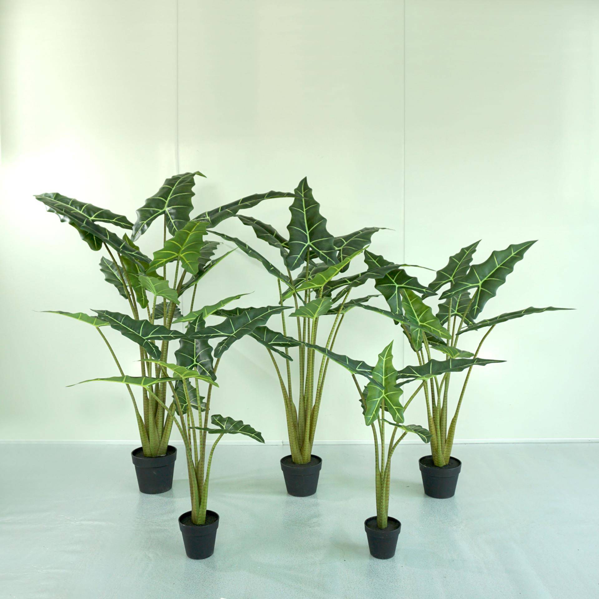 北欧仿真萨利安海芋绿植盆栽黑白犀牛大仙女海芋网红观景落地装饰