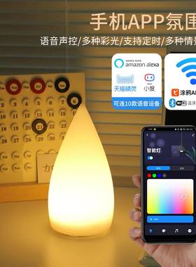 智能台灯APP小夜灯第三方AmazonAlexa/Echo/Googlehome语音控制