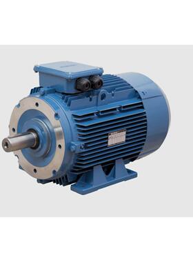 供应土耳其GAMAK电机GM2EAGM2EGM3EAGM3E系列电动机铸铁铝壳